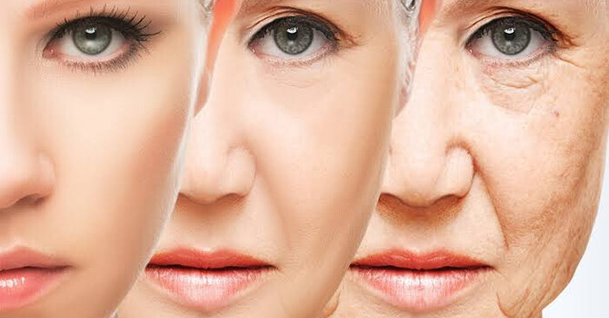 Why Does Our Skin Age?